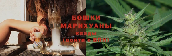 мдпв Волосово