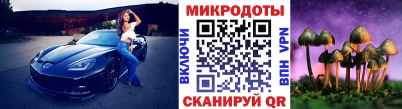 Галлюциногенные грибы GOLDEN TEACHER  Купить  Михайловка 